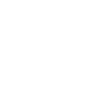 MesoRNA logo