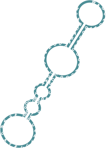 mesoRNA sequence